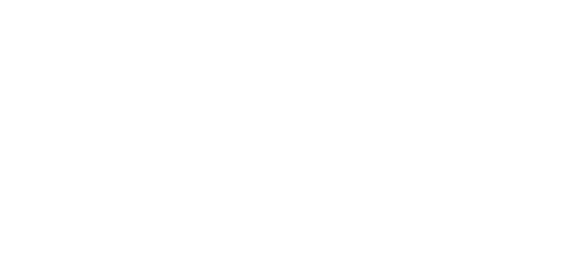 The New Forest Church of England Primary School logo