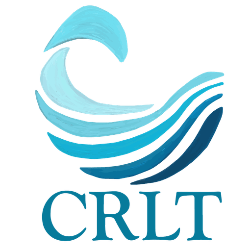 Connie Rothman School logo