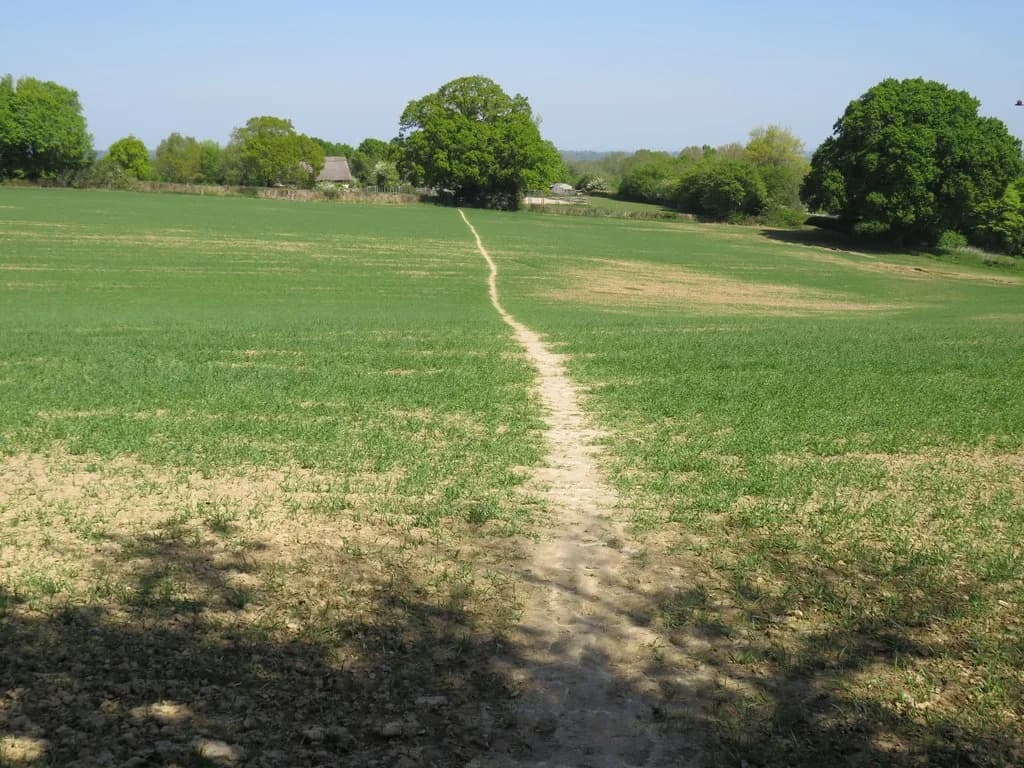 The Wildings, Devon