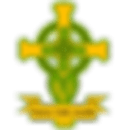 St Vincents Catholic Primary School, Newcastle logo