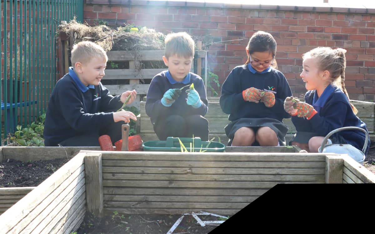 Westminster Community Primary School, Ellesmere Port