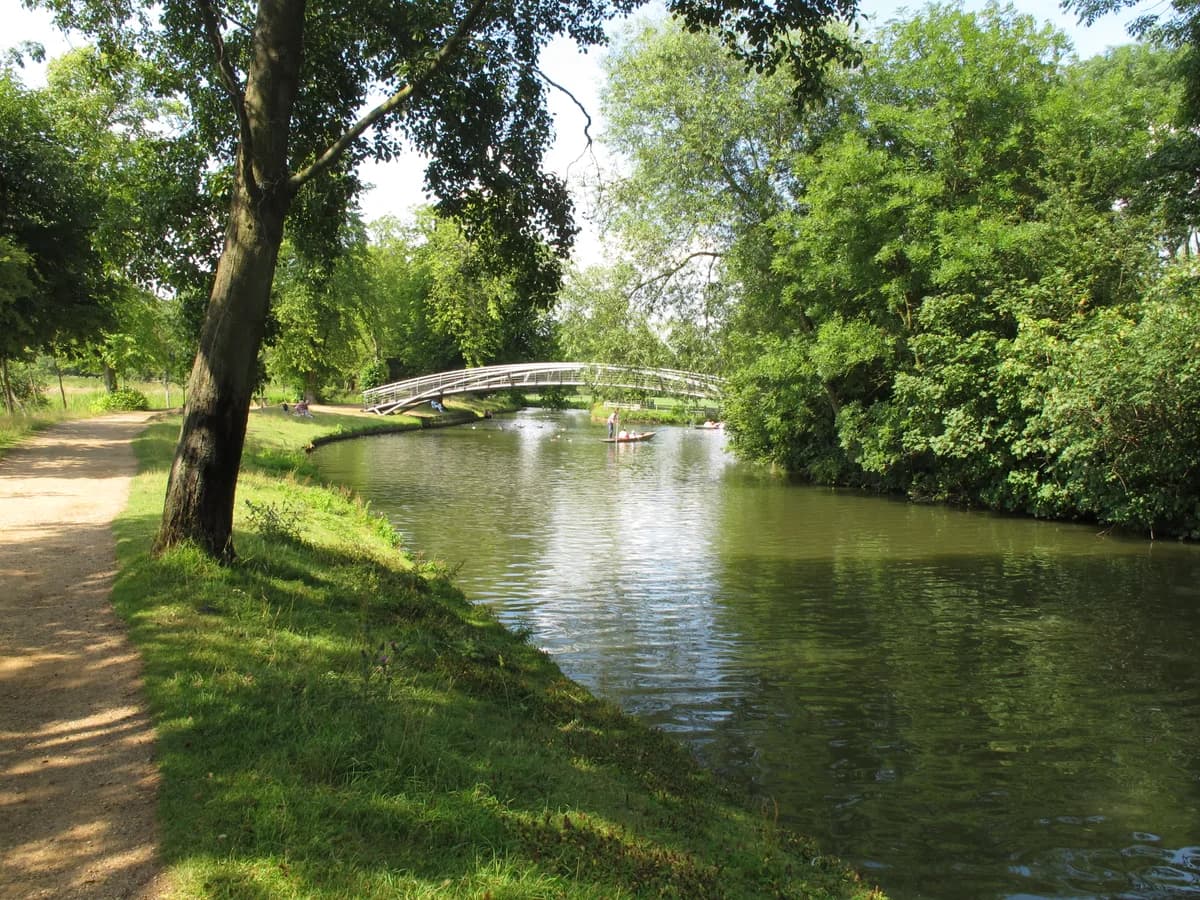 Meadow Bridge School, Wiltshire