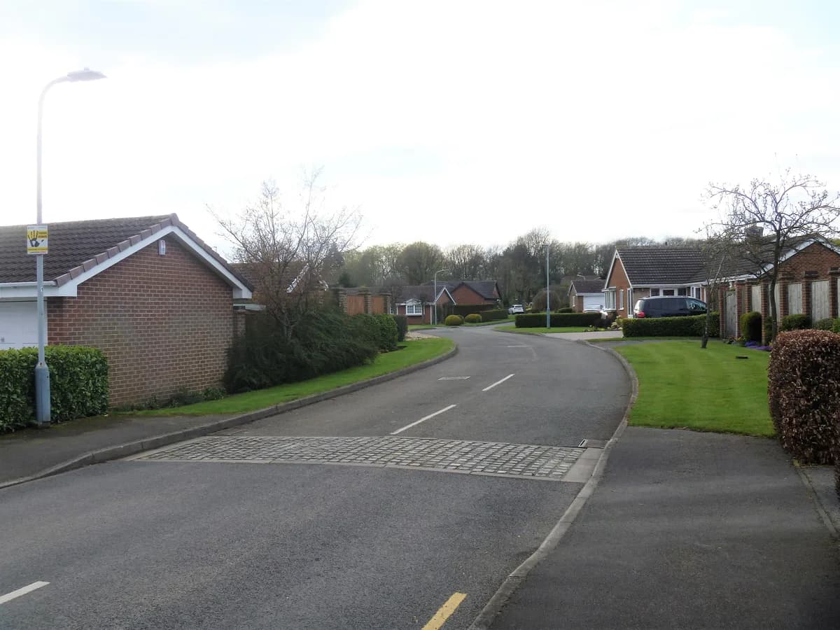 Olympus, South Croydon