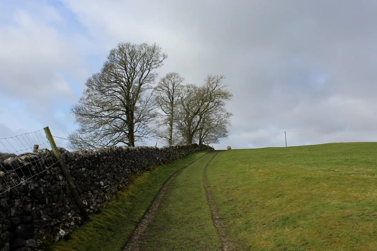 Threshfield Primary School, Skipton