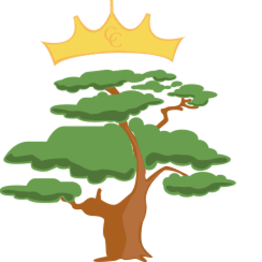 Christ Church Church of England Primary School logo