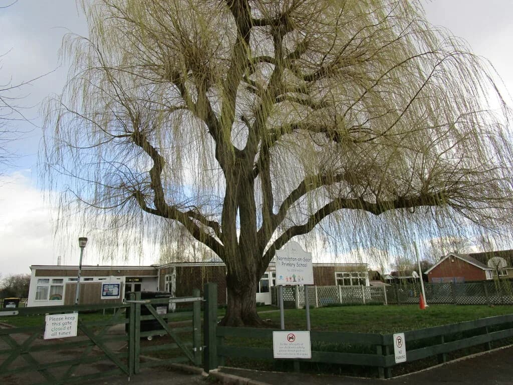 Normanton-On-Soar Primary School, Loughborough