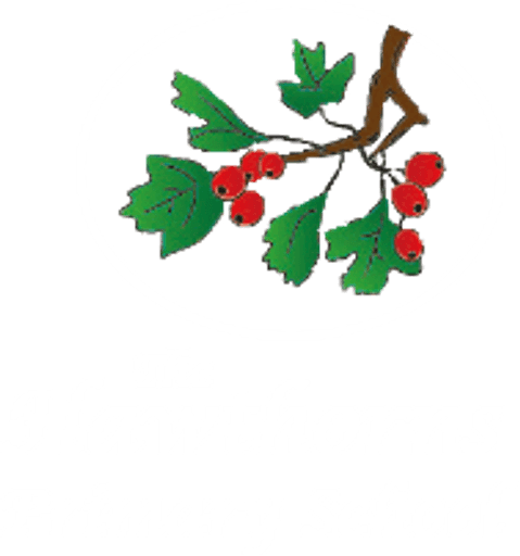 The Hawthorns Primary School logo