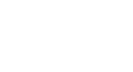 Bramley Grange Academy logo