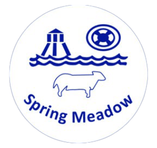 Spring Meadow Primary School &  Nursery logo
