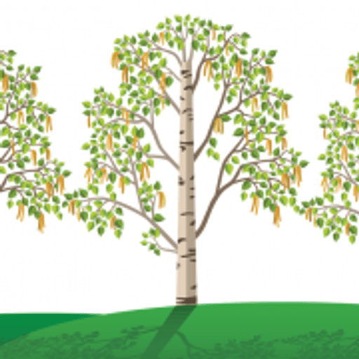 Birch Wood (Melton Area Special School) logo
