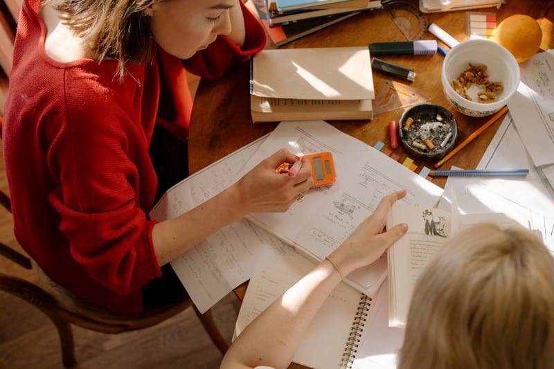 Two students revising together