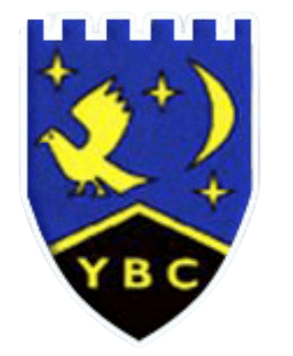 Ysgol Bryn Castell logo
