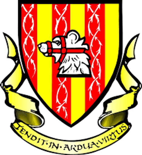 Mackie Academy logo
