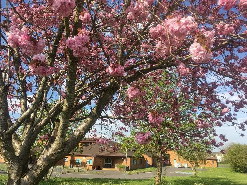 Calside School, Dumfries & Galloway