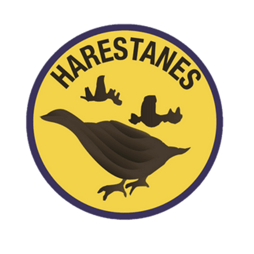 Harestanes Primary School logo
