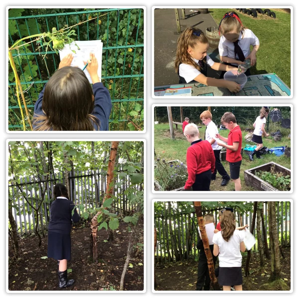 Cathkin Primary School, South Lanarkshire
