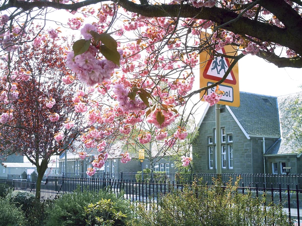 Invergowrie Primary School, Perth & Kinross