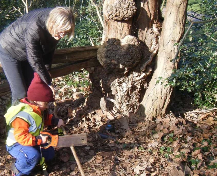 Golborne & Maxilla Nursery School, London