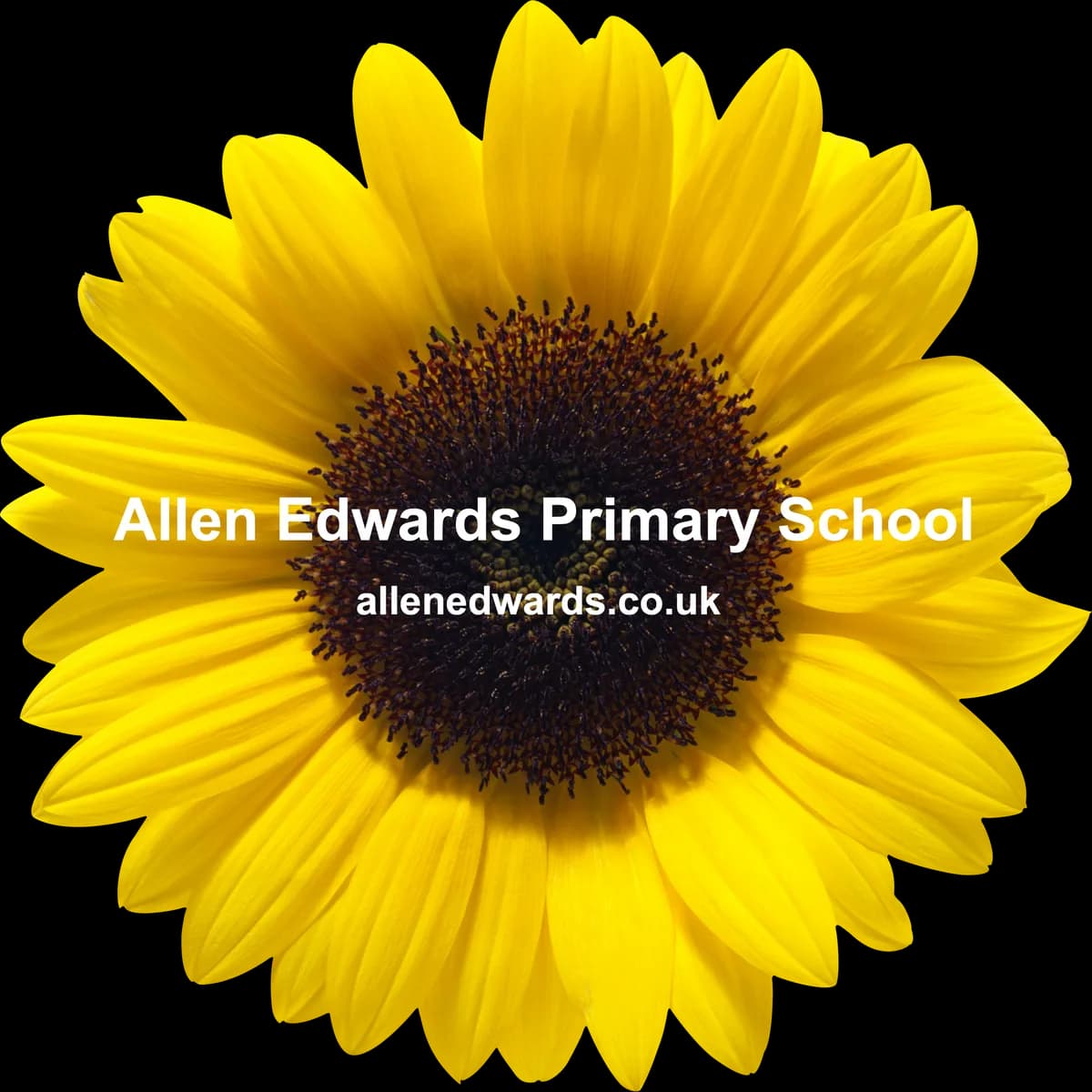 Allen Edwards Primary School, London