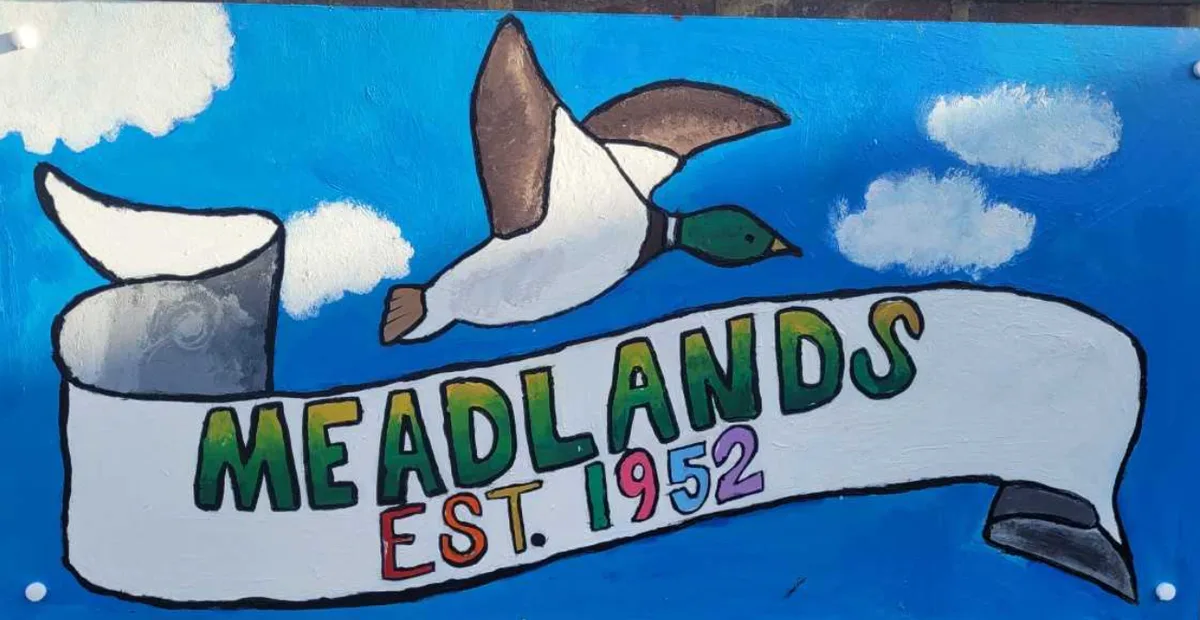 Meadlands Primary School, Richmond