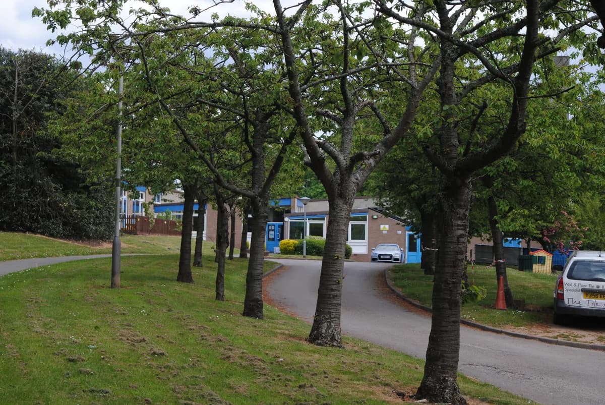 Whitecrest Primary School, Birmingham