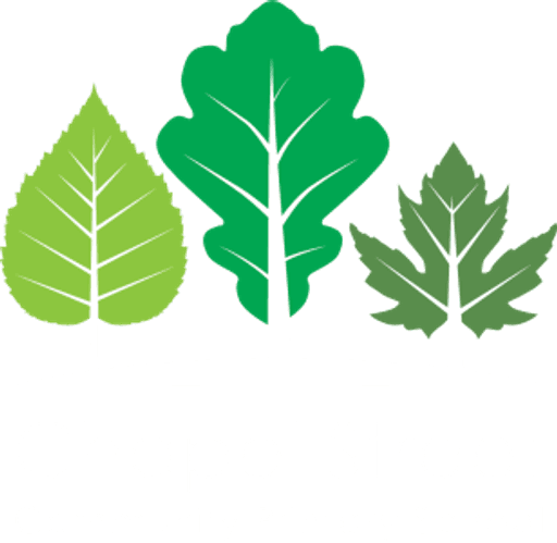 Chapel Street Community Primary School logo