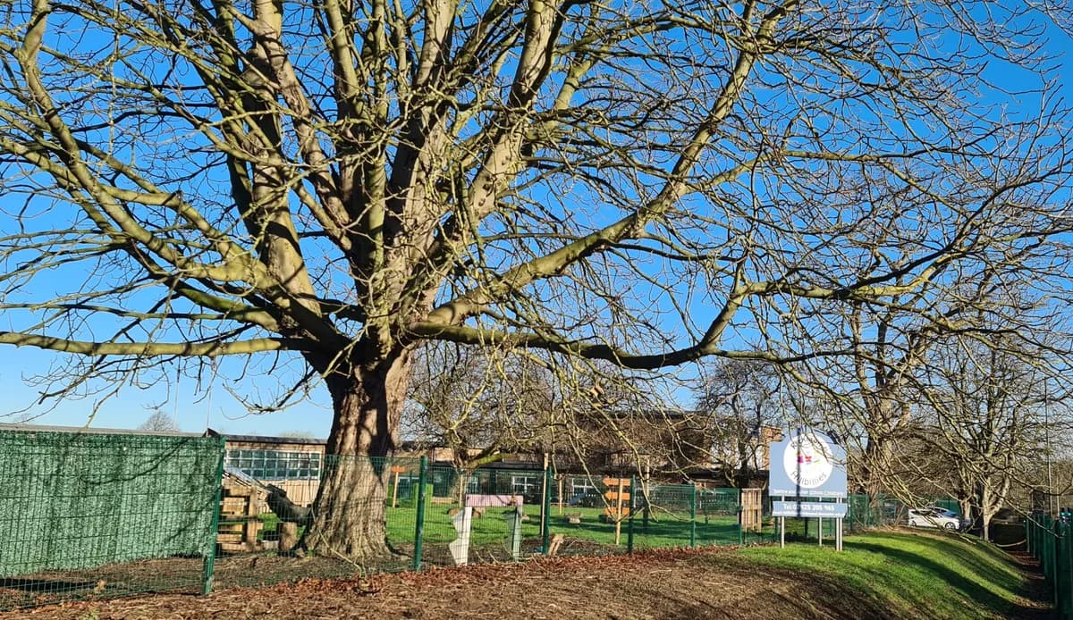 Richmond Hill School, Luton