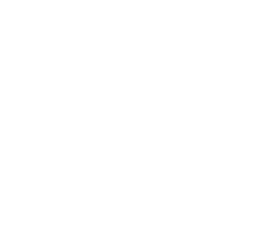 Falkland Primary School logo