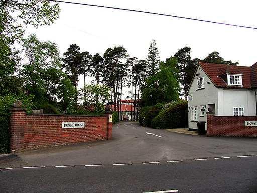 Downe House logo