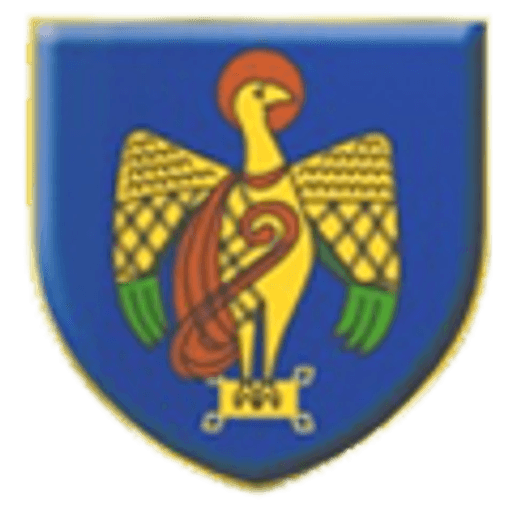 Over St John's CofE Primary School logo