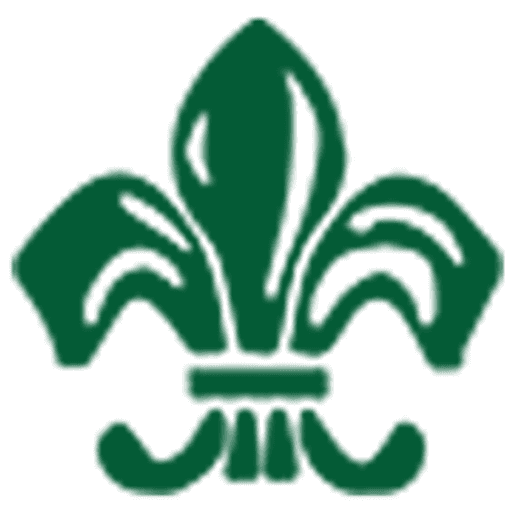 The Nelson Thomlinson School logo