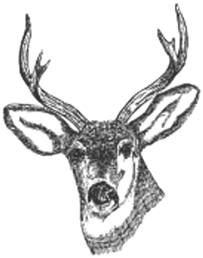 South Darley CofE Primary School logo