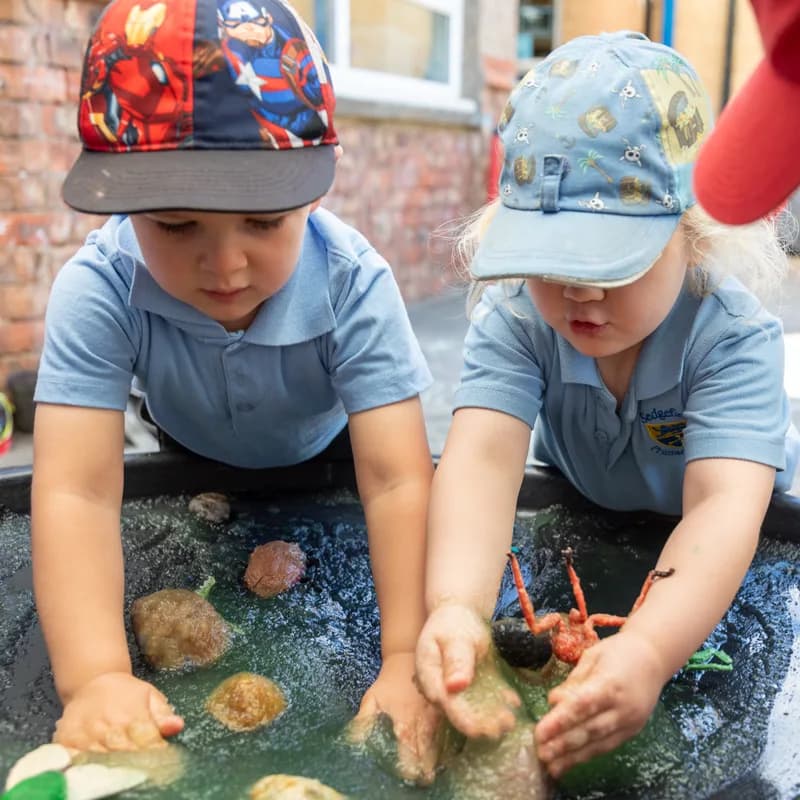 Sedgefield Primary School, Stockton-on-Tees
