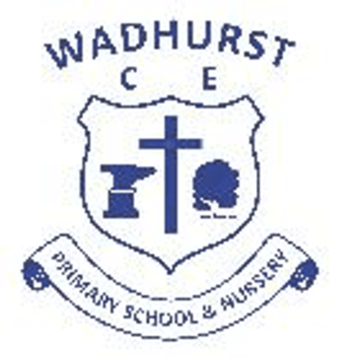 Wadhurst CofE Primary School and Nursery logo