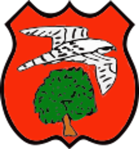 Ruardean Church of England Primary School logo