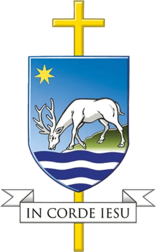 Saint George Catholic Voluntary Aided College Southampton logo