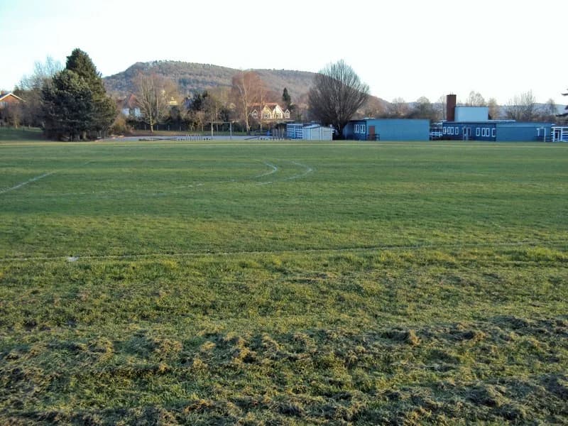 Ashfield Park Primary School, Ross-on-Wye