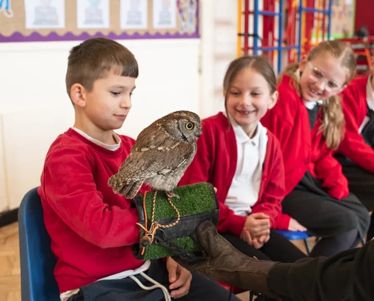 Chambersbury Primary School, Hemel Hempstead