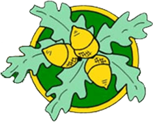 Learning Opportunities Centre Secondary logo