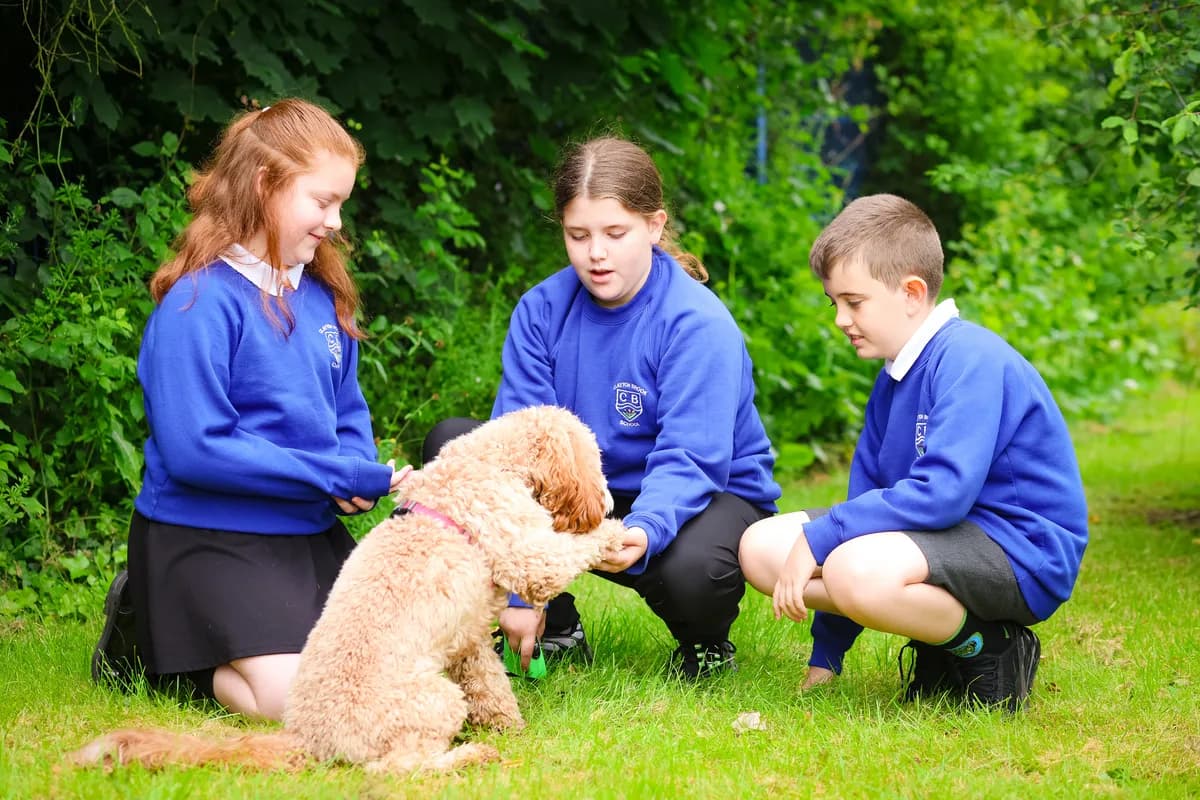 Clayton Brook Primary School, Preston