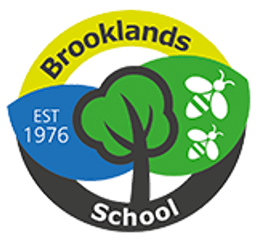 Brooklands School logo