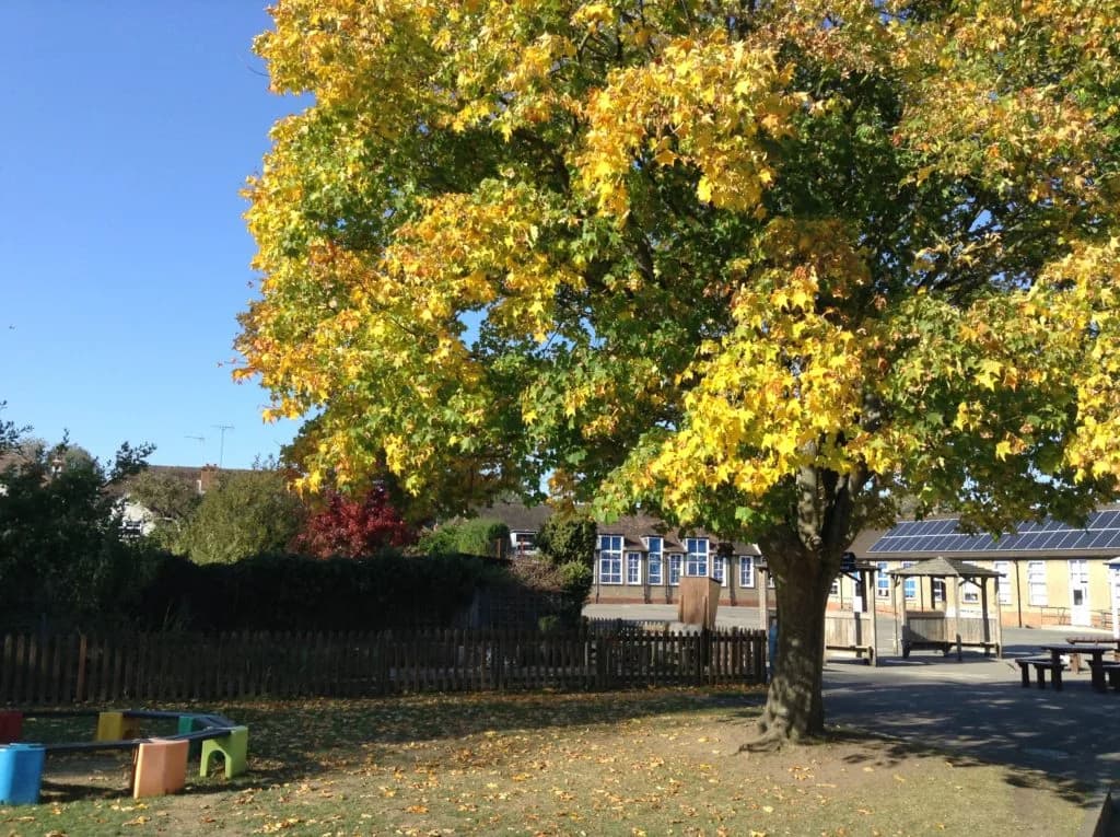 Sonning Common Primary School, Reading