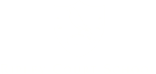 Ripley Court School logo
