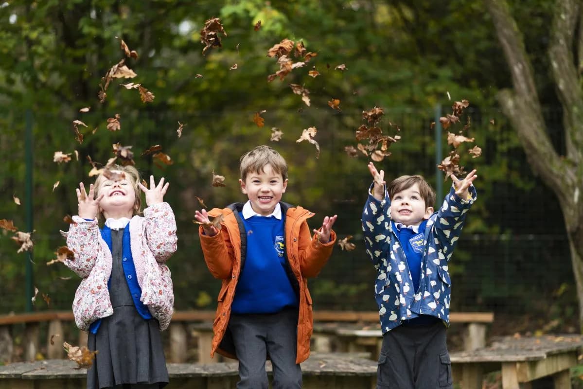 Stedham Primary School, Midhurst