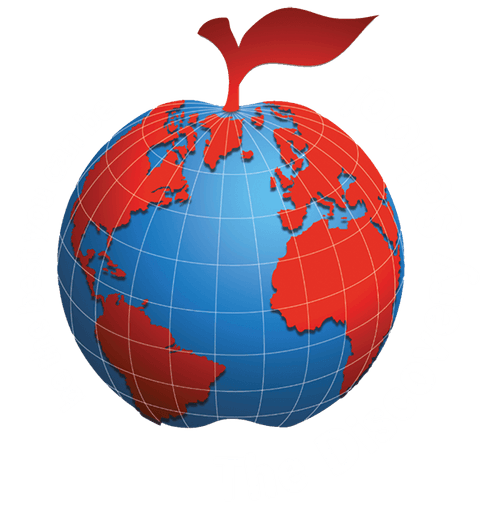 The Discovery School logo