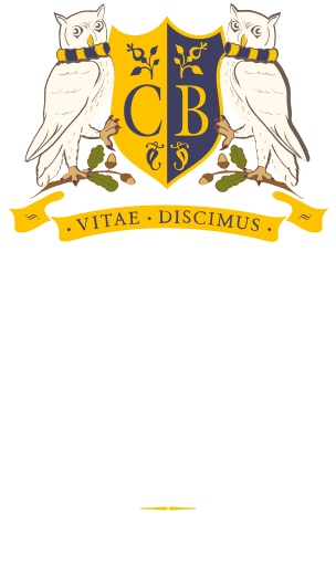 Colston Bassett School Limited logo