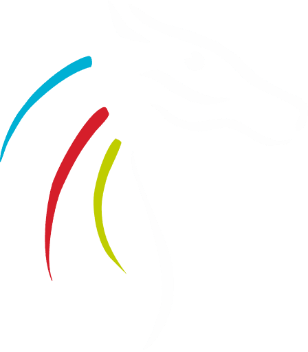 Sandwich Technology School logo