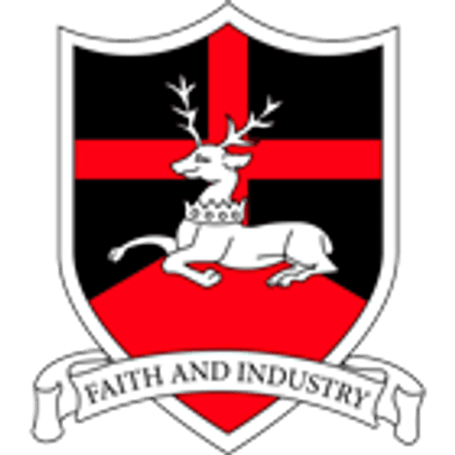 Redhill Academy logo