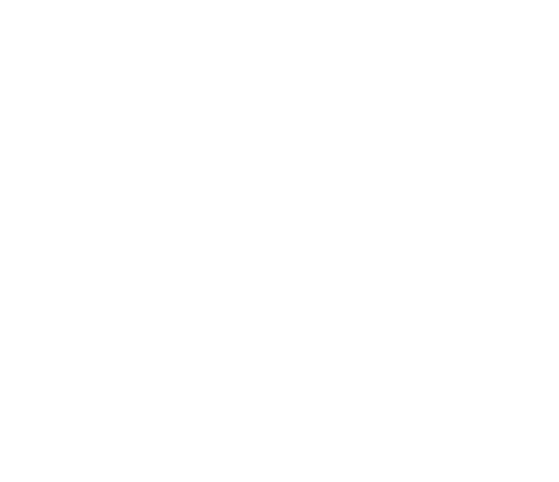 Birkenhead Park School logo