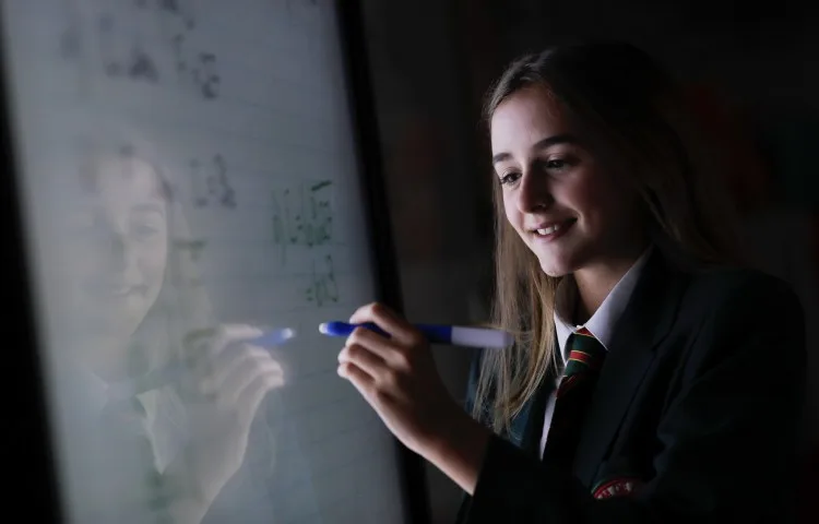 William de Ferrers School, Chelmsford